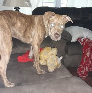 Meet your Posher, Jim